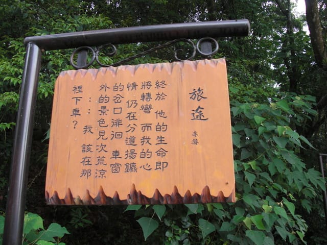油桐花=有桐花 - 第16張圖 油桐花=有桐花