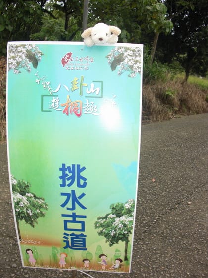 桐樂會* - 第3張圖 桐樂會*