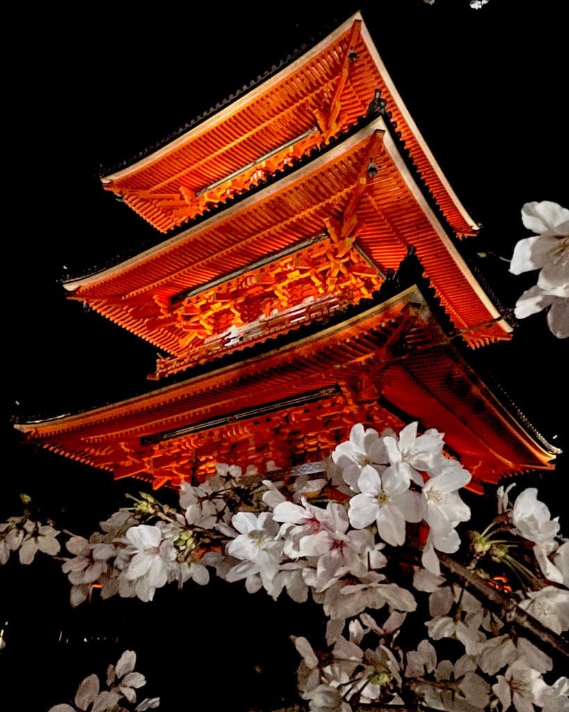 大阪旅行｜日本旅遊經都必去景點勝地清水寺!還有搭上夜間賞櫻