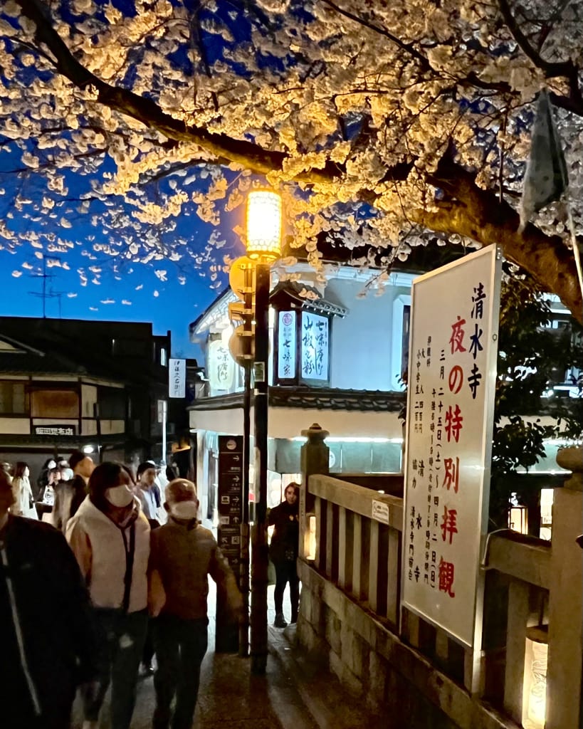 大阪旅行｜日本旅遊經都必去景點勝地清水寺!還有搭上夜間賞櫻