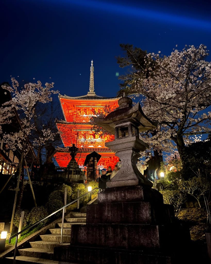 大阪旅行｜日本旅遊經都必去景點勝地清水寺!還有搭上夜間賞櫻