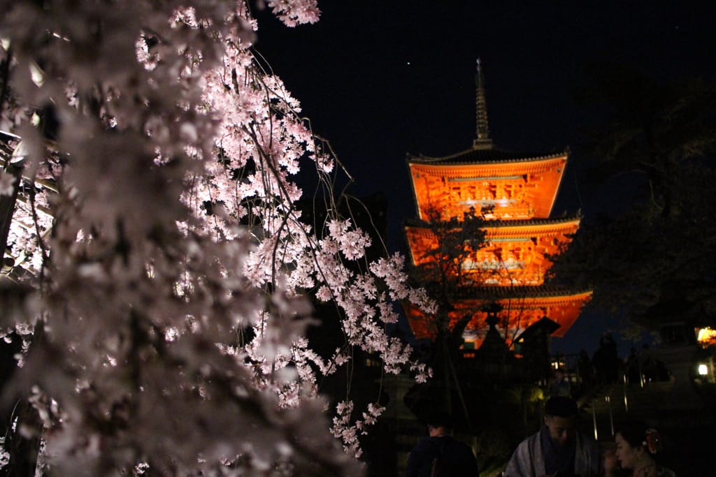 大阪旅行｜日本旅遊經都必去景點勝地清水寺!還有搭上夜間賞櫻