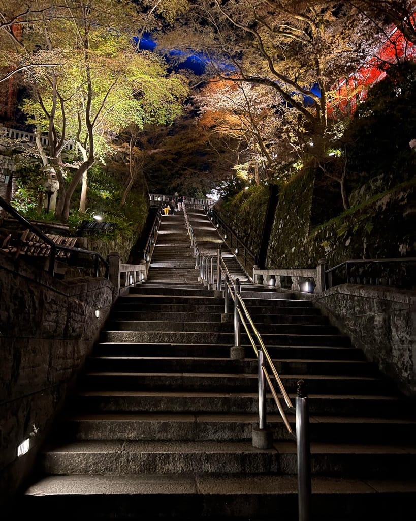 大阪旅行｜日本旅遊經都必去景點勝地清水寺!還有搭上夜間賞櫻