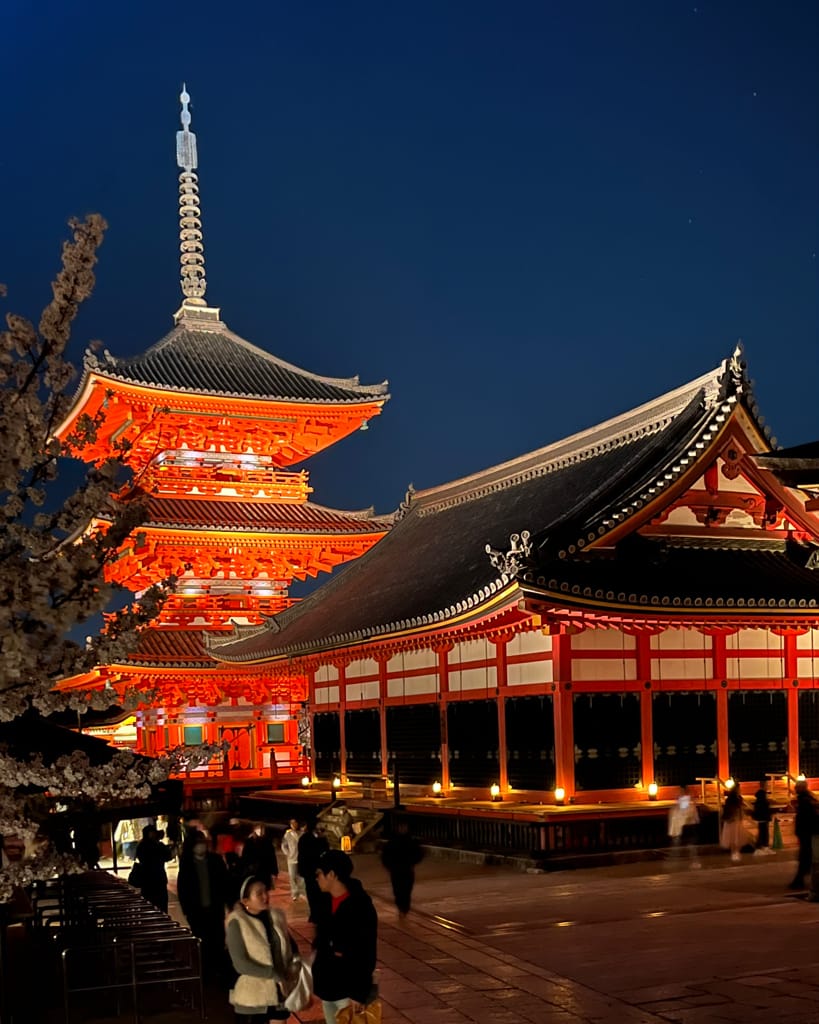 大阪旅行｜日本旅遊經都必去景點勝地清水寺!還有搭上夜間賞櫻