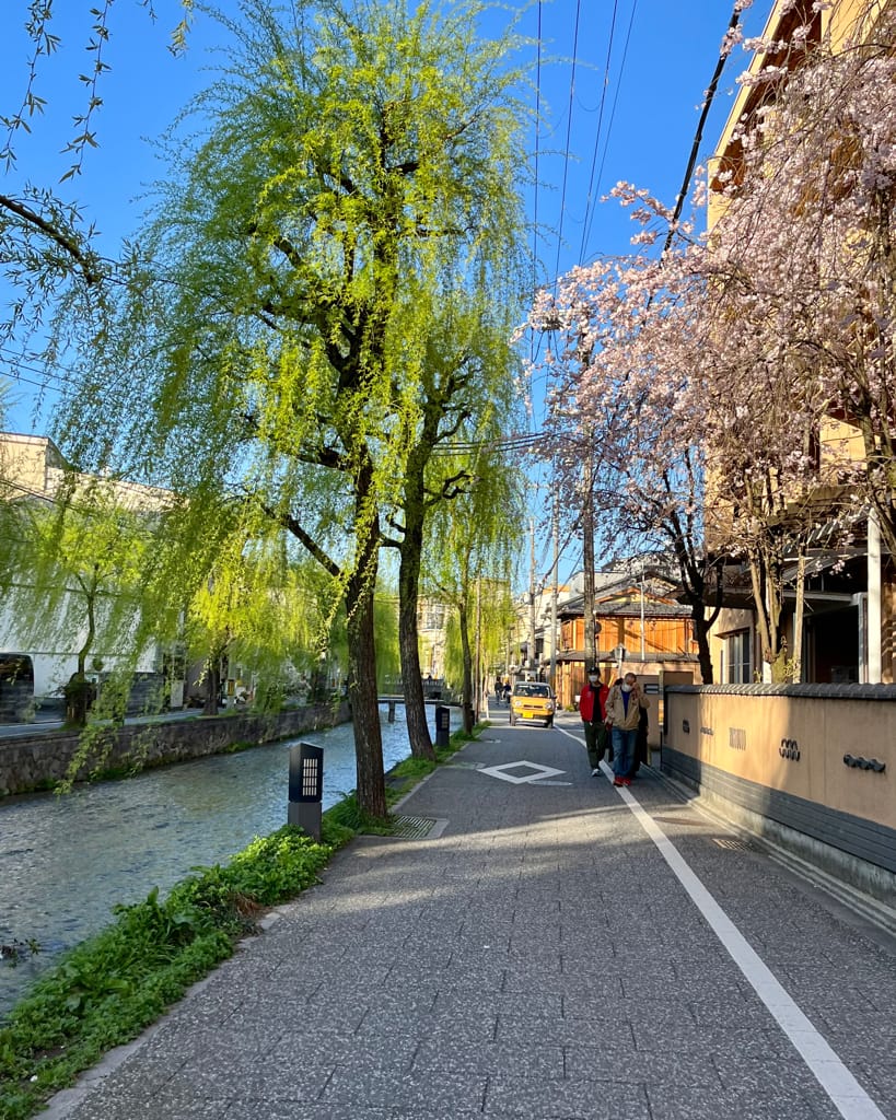 大阪旅遊之京都景點之追櫻花紀錄