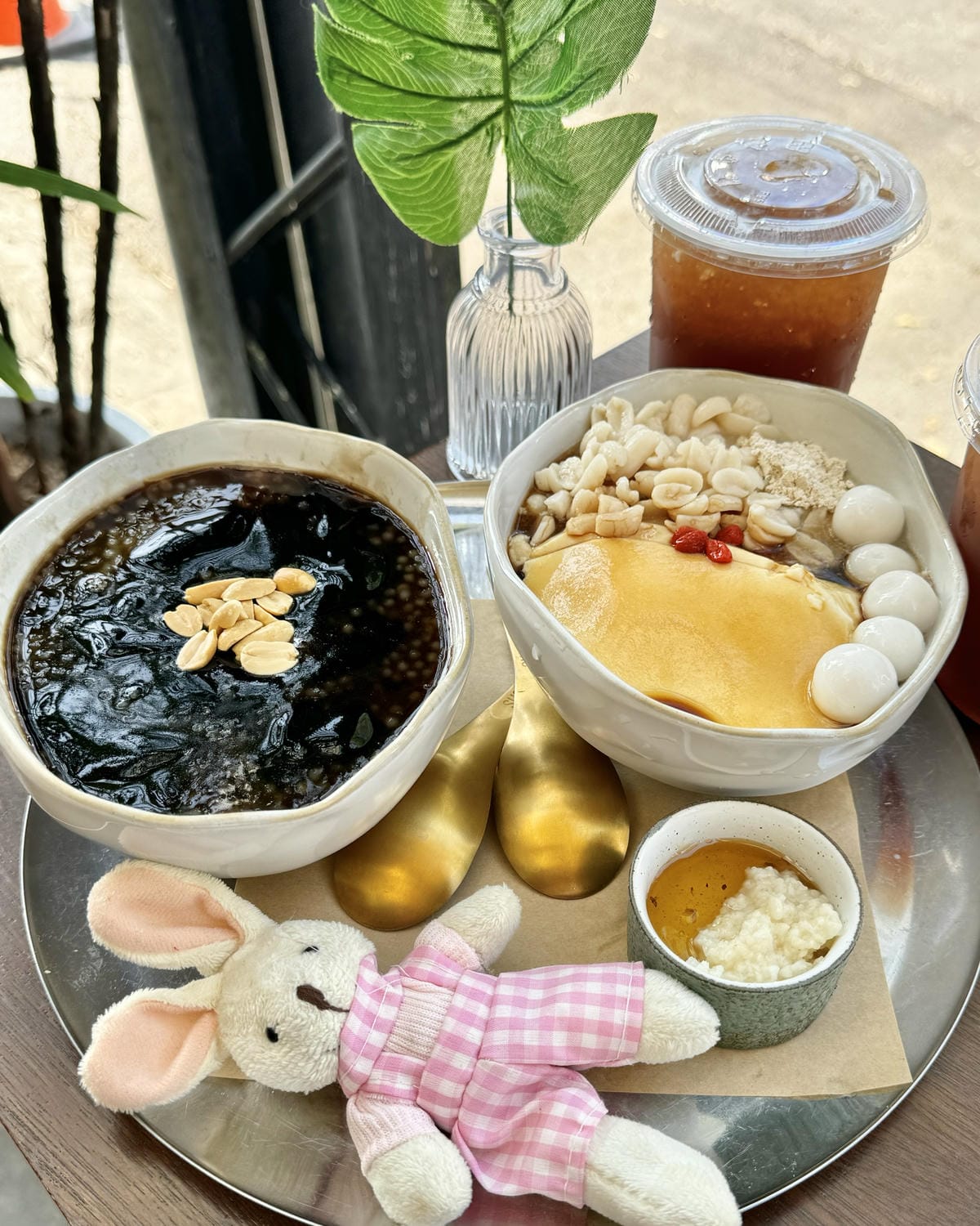 南投埔里最近最熱門的景點、美食就是這間室外有多肉植物的文青豆 南投埔里最近最熱門的景點、美食就是這間室外有多肉植物的文青豆