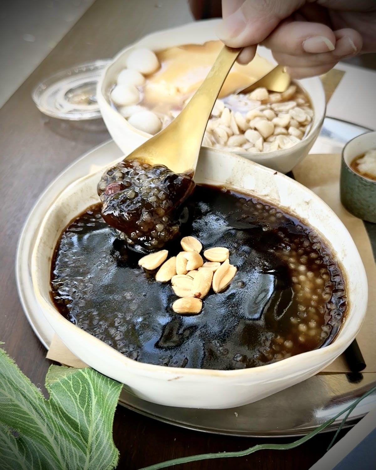 南投埔里最近最熱門的景點、美食就是這間室外有多肉植物的文青豆 南投埔里最近最熱門的景點、美食就是這間室外有多肉植物的文青豆