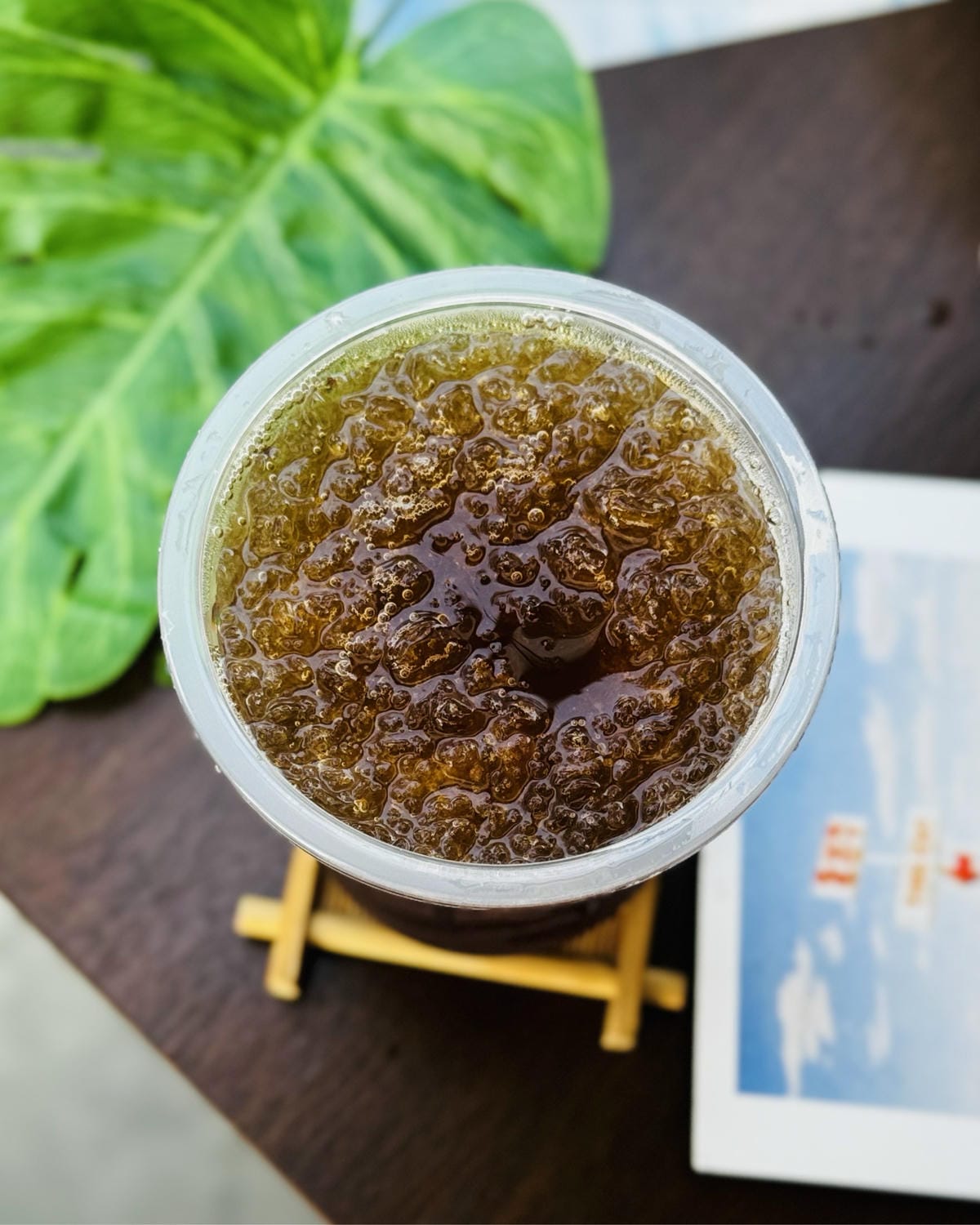 南投埔里最近最熱門的景點、美食就是這間室外有多肉植物的文青豆 南投埔里最近最熱門的景點、美食就是這間室外有多肉植物的文青豆