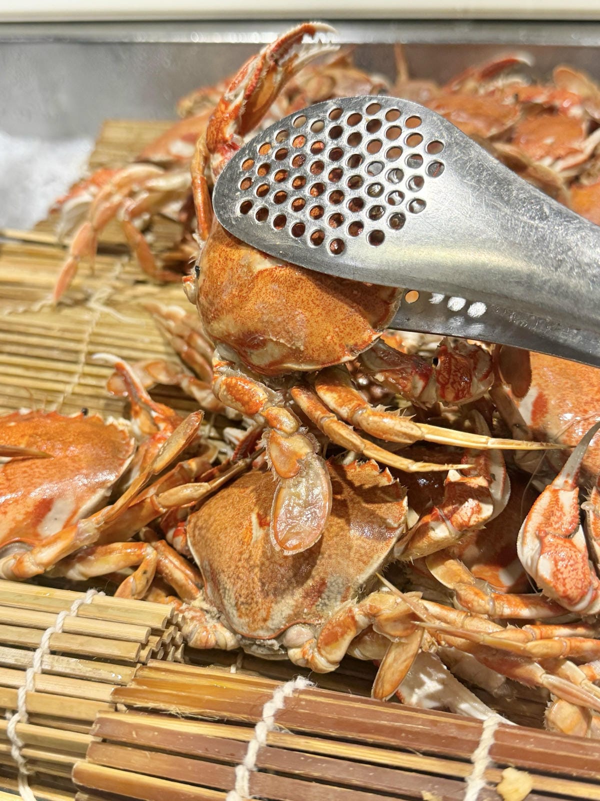 潮港城太陽百匯|中部辦桌王|台中自助Buffet吃到飽餐廳 潮港城太陽百匯|中部辦桌王|台中自助Buffet吃到飽餐廳